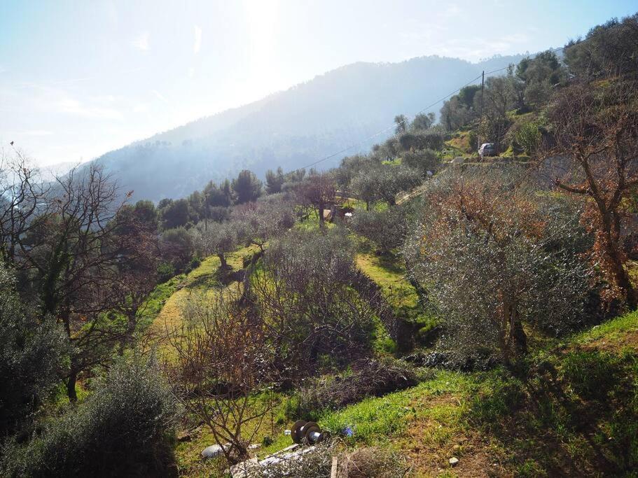 Bas De Villa Au Milieu Des Oliviers. Chateauneuf-Villevieille Bagian luar foto